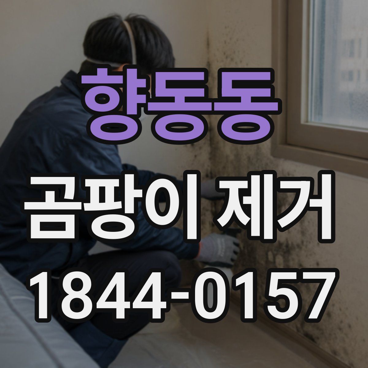 향동동 곰팡이 제거