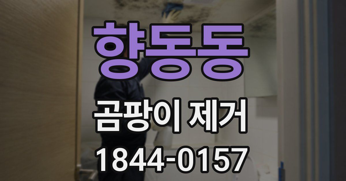 향동동 곰팡이 제거