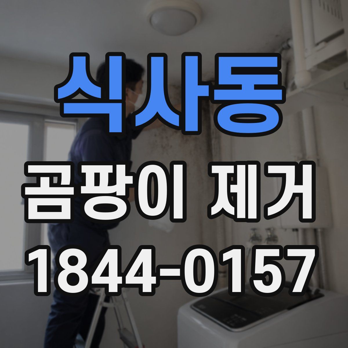 식사동 곰팡이 제거