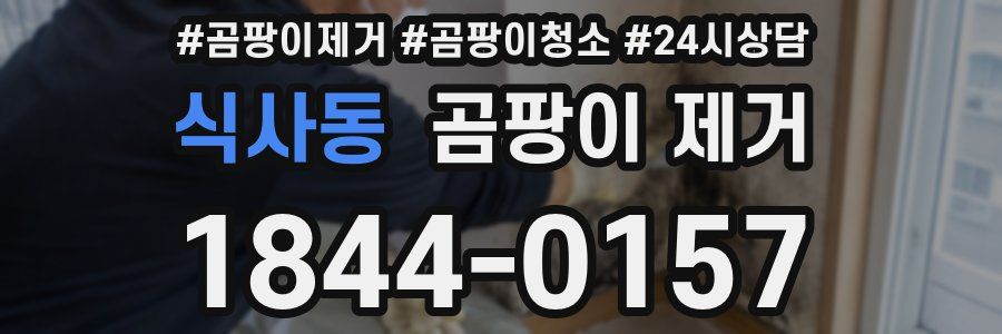식사동 곰팡이 제거