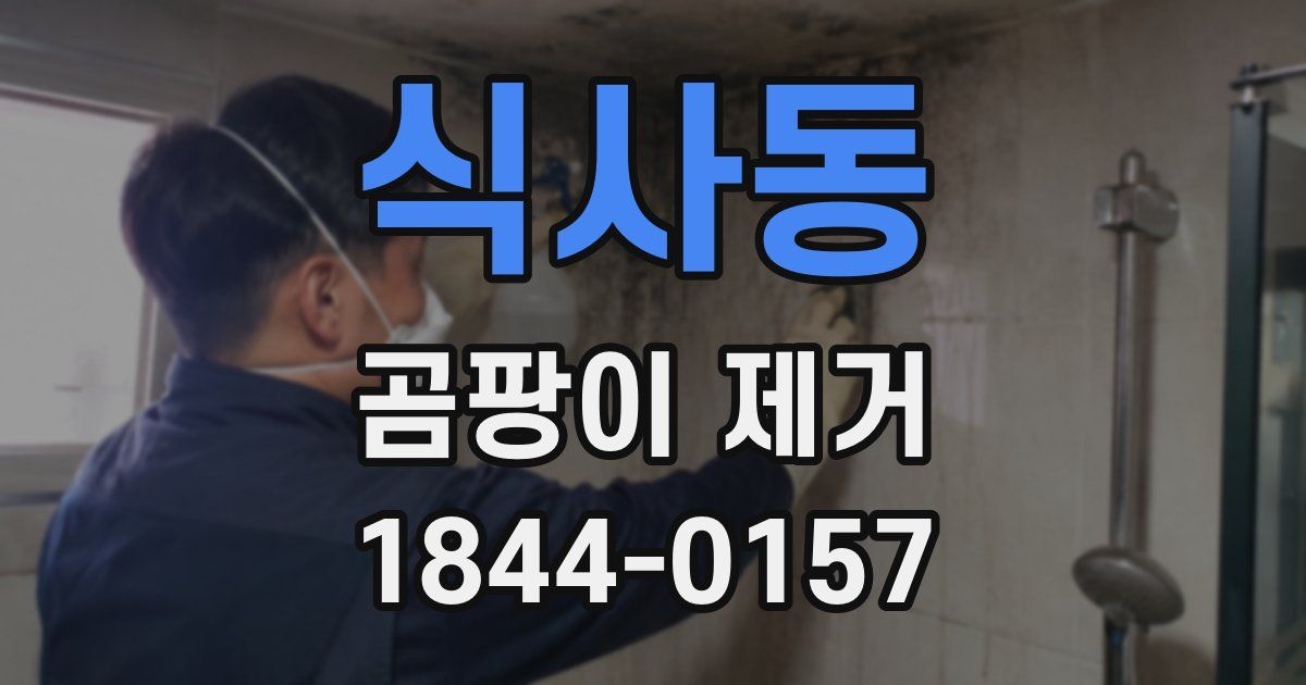 식사동 곰팡이 제거