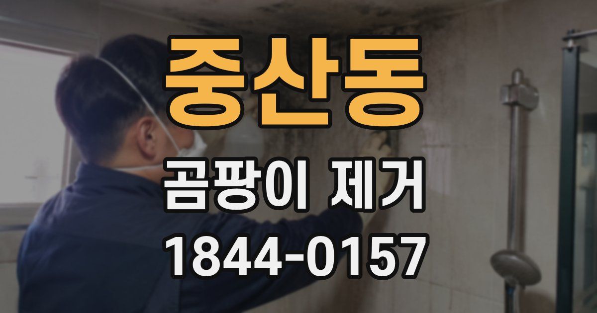 중산동 곰팡이 제거
