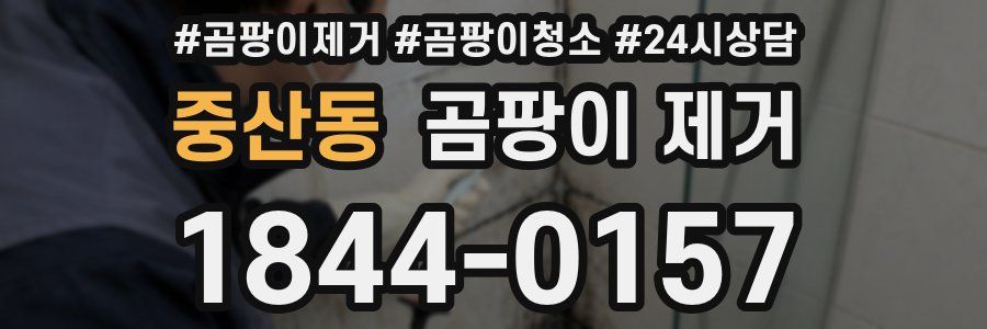 중산동 곰팡이 제거