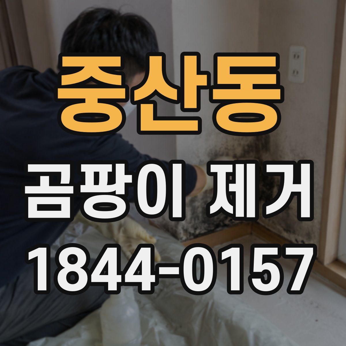 중산동 곰팡이 제거