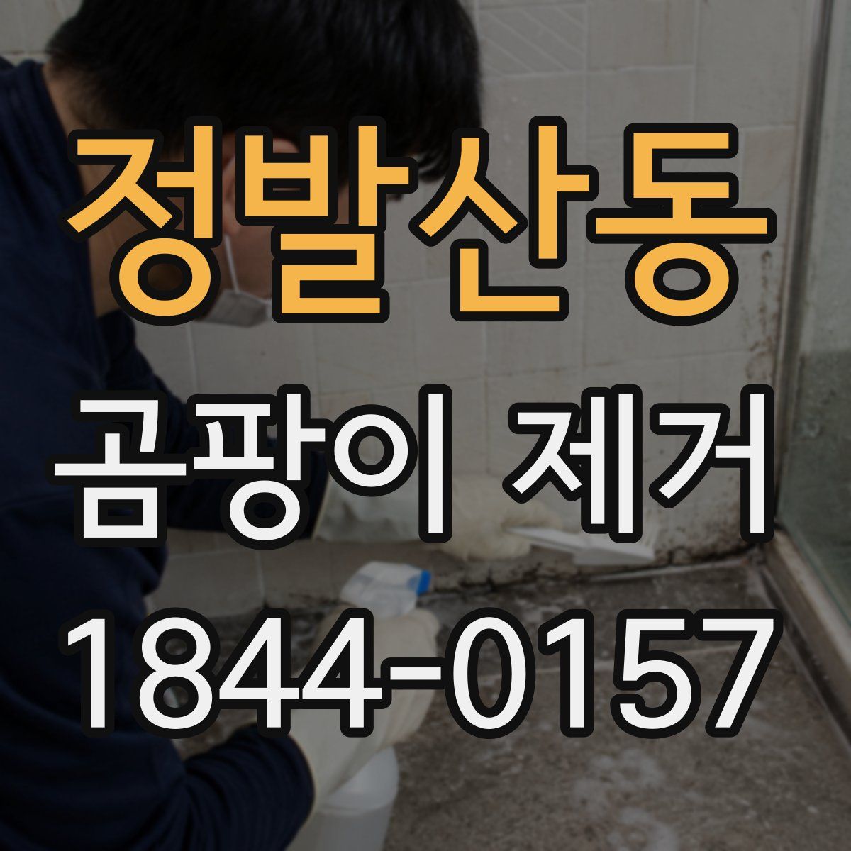 정발산동 곰팡이 제거