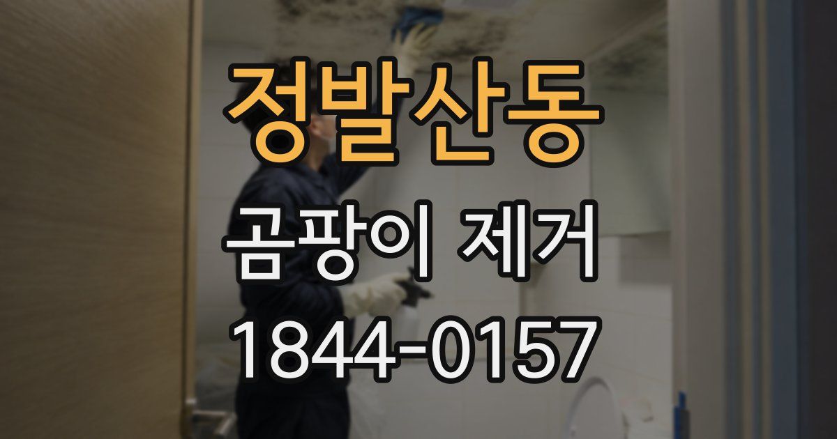정발산동 곰팡이 제거