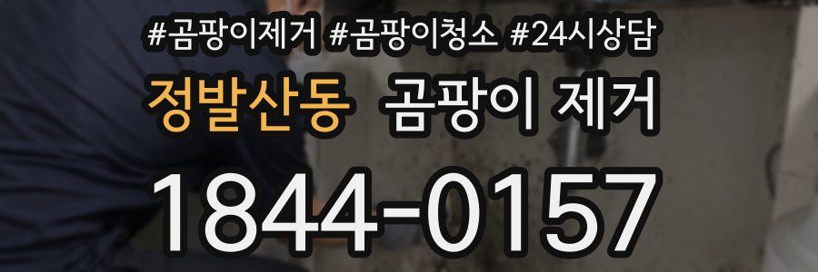 정발산동 곰팡이 제거