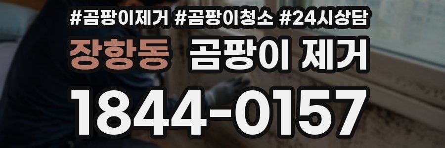 장항동 곰팡이 제거