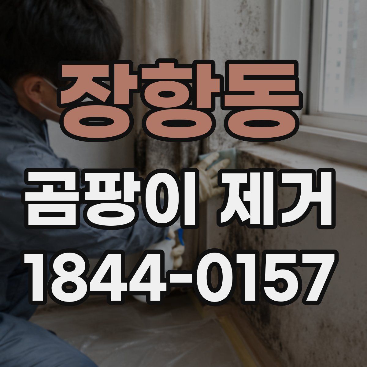 장항동 곰팡이 제거