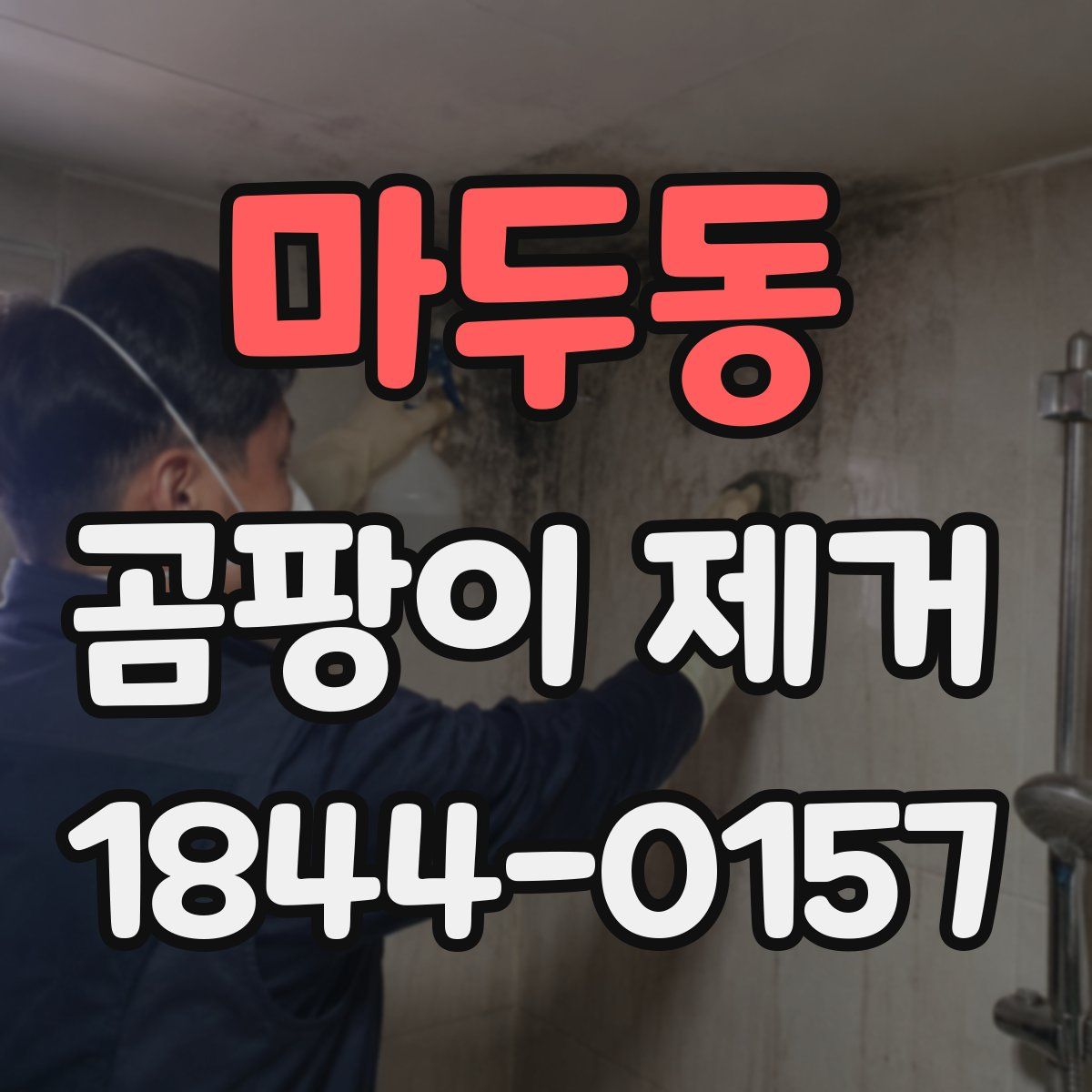 마두동 곰팡이 제거