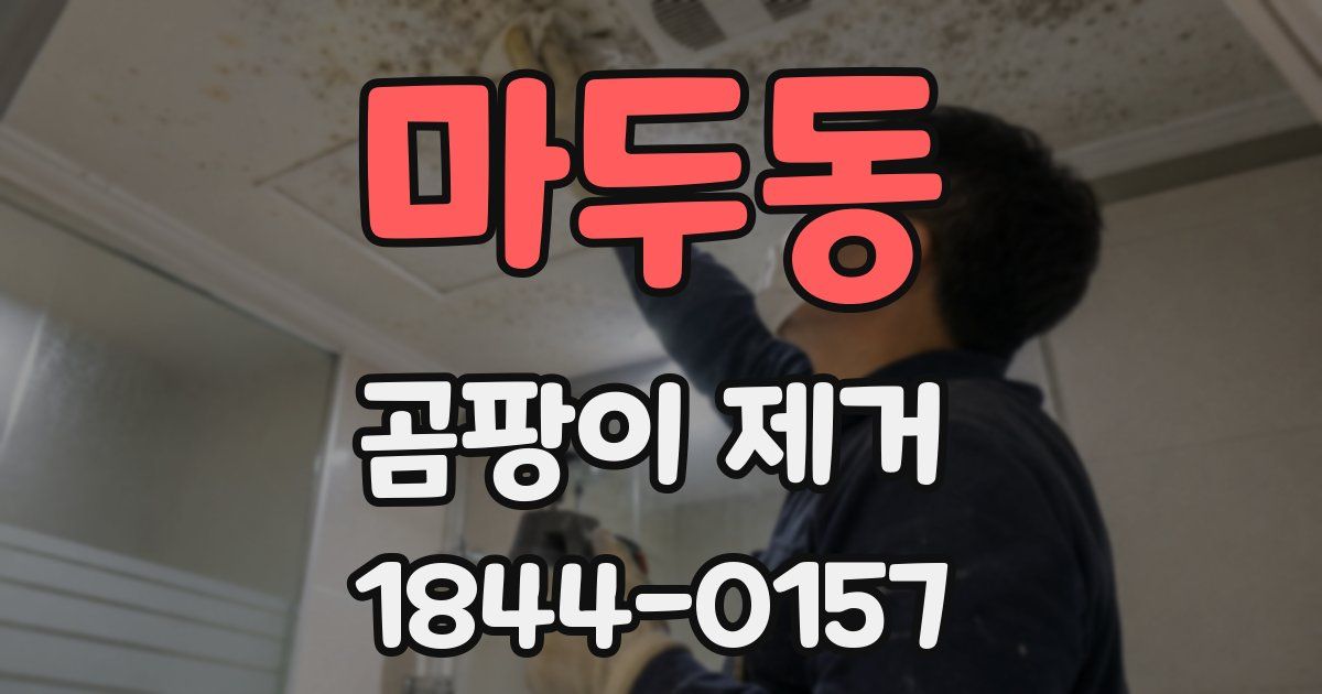 마두동 곰팡이 제거