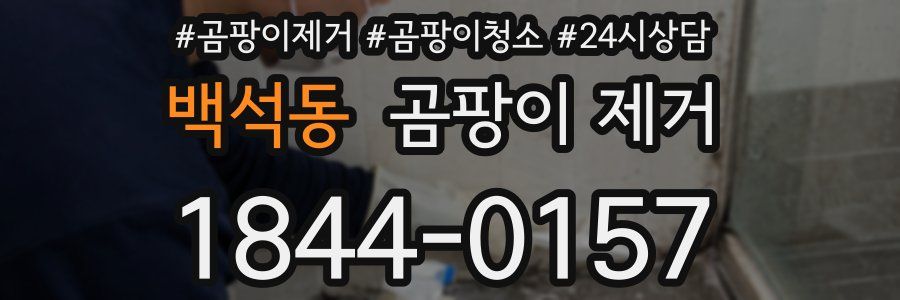 백석동 곰팡이 제거