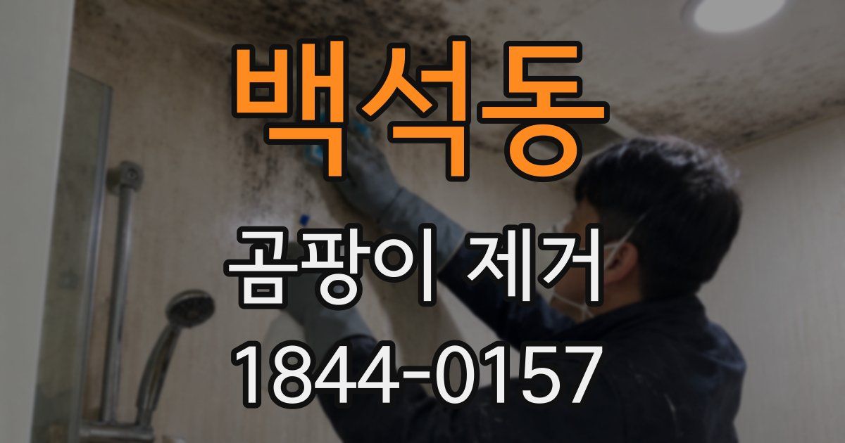 백석동 곰팡이 제거