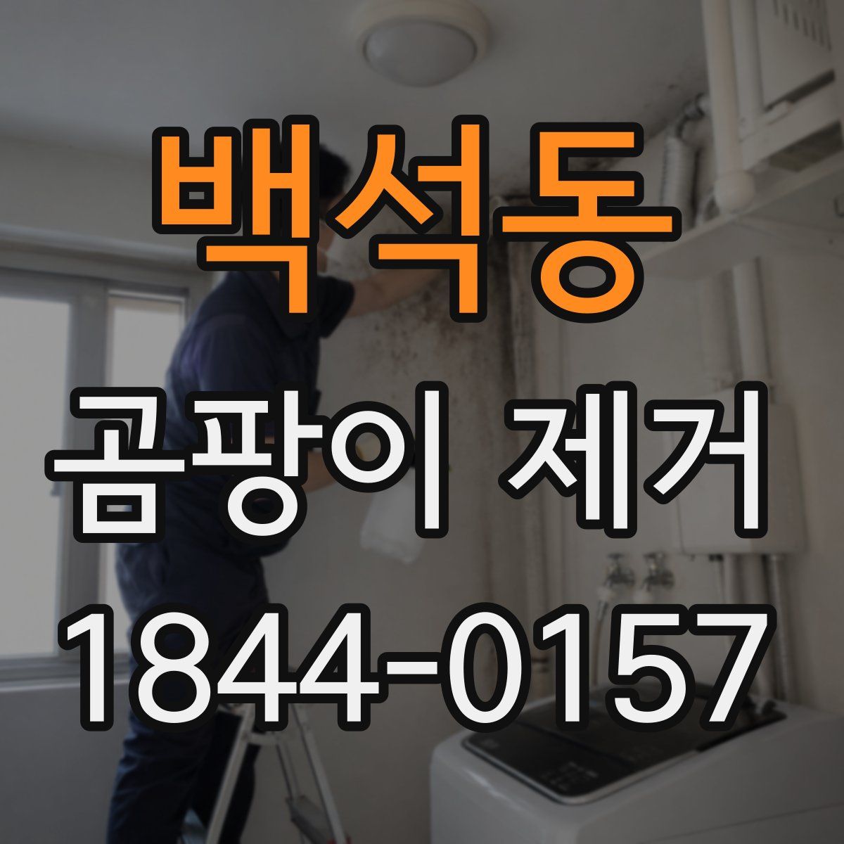 백석동 곰팡이 제거