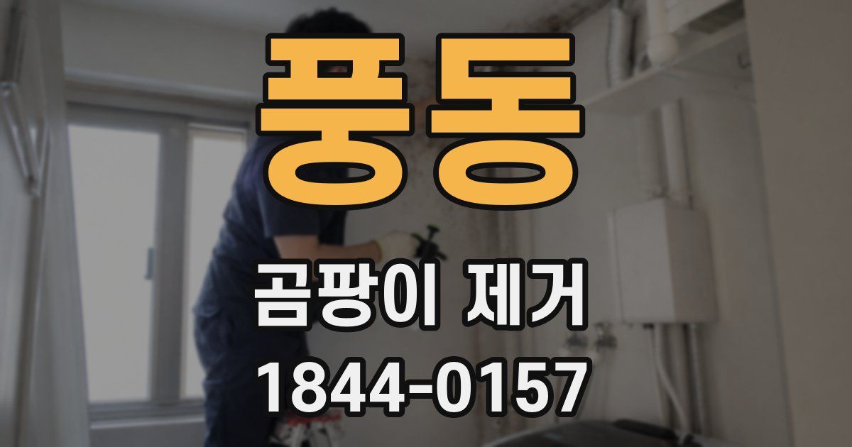 풍동 곰팡이 제거