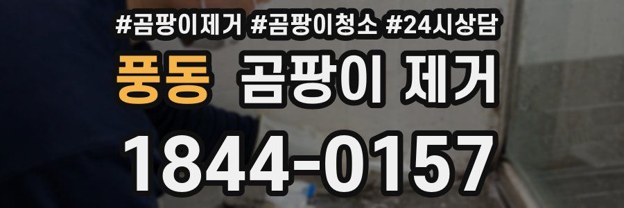 풍동 곰팡이 제거