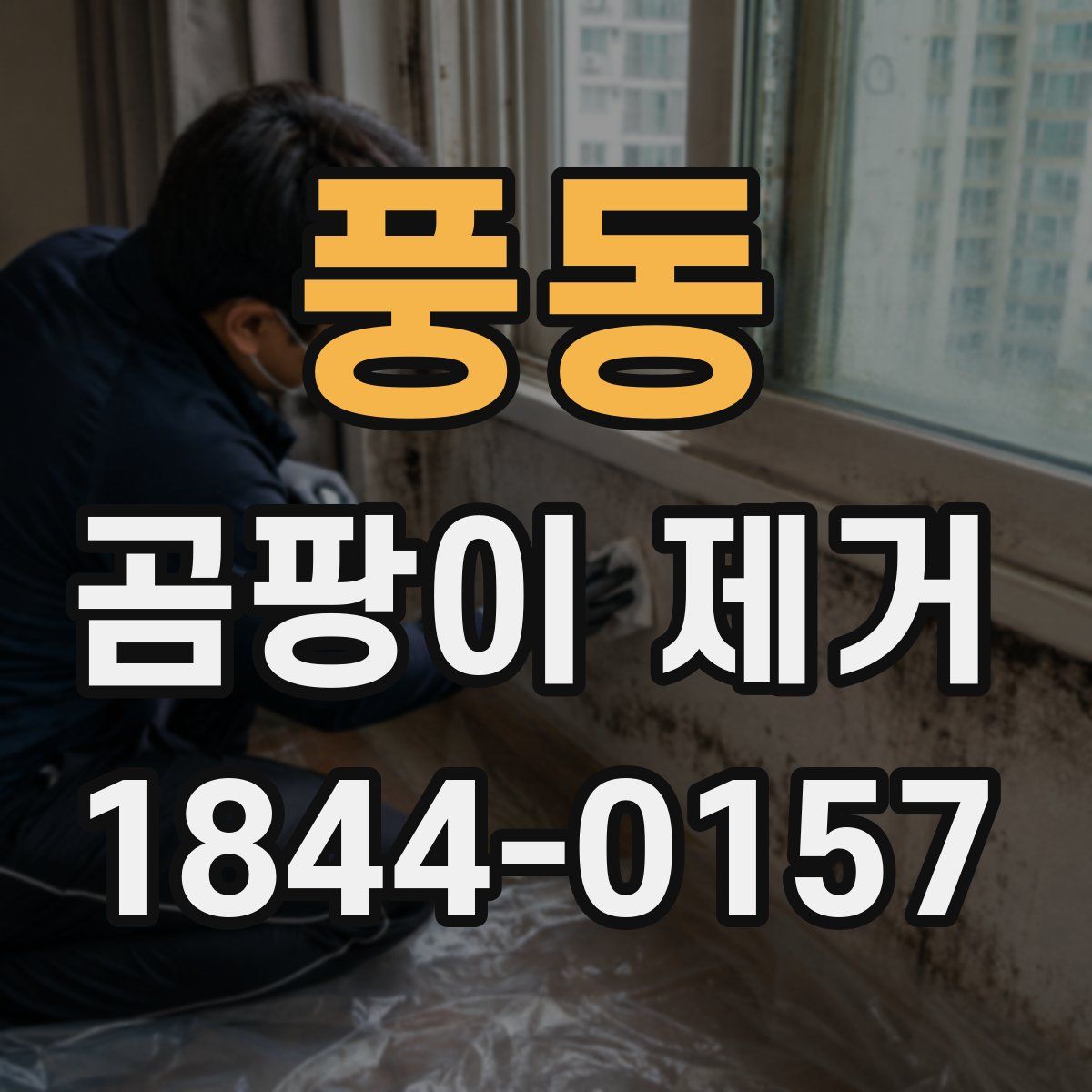 풍동 곰팡이 제거