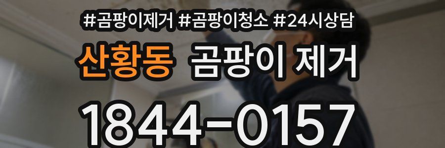 산황동 곰팡이 제거