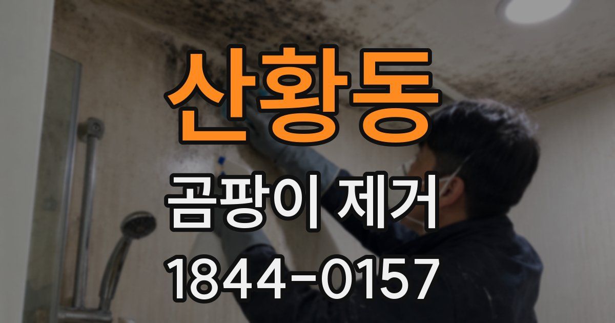 산황동 곰팡이 제거