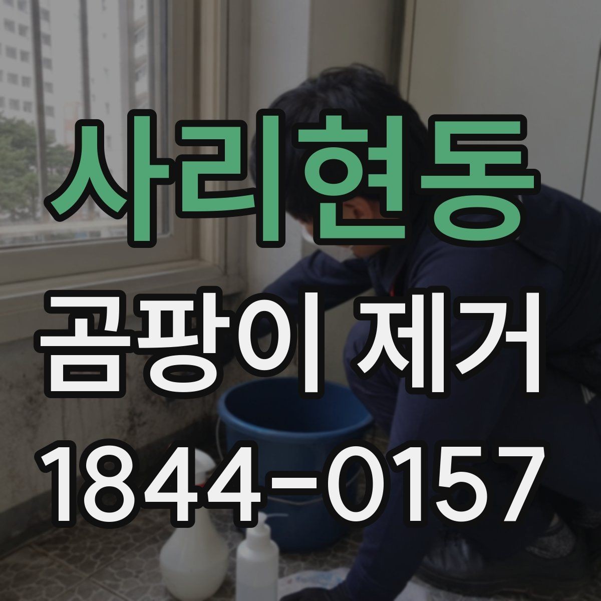 사리현동 곰팡이 제거 오래된 얼룩이 더 까다로운 이유