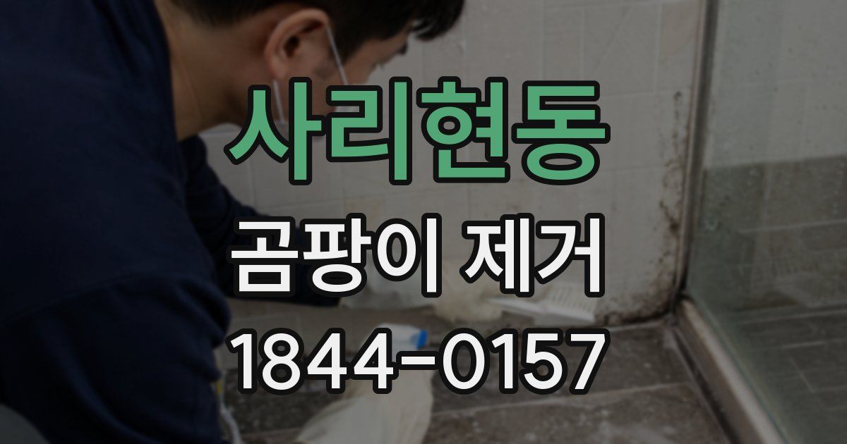 사리현동 곰팡이 제거