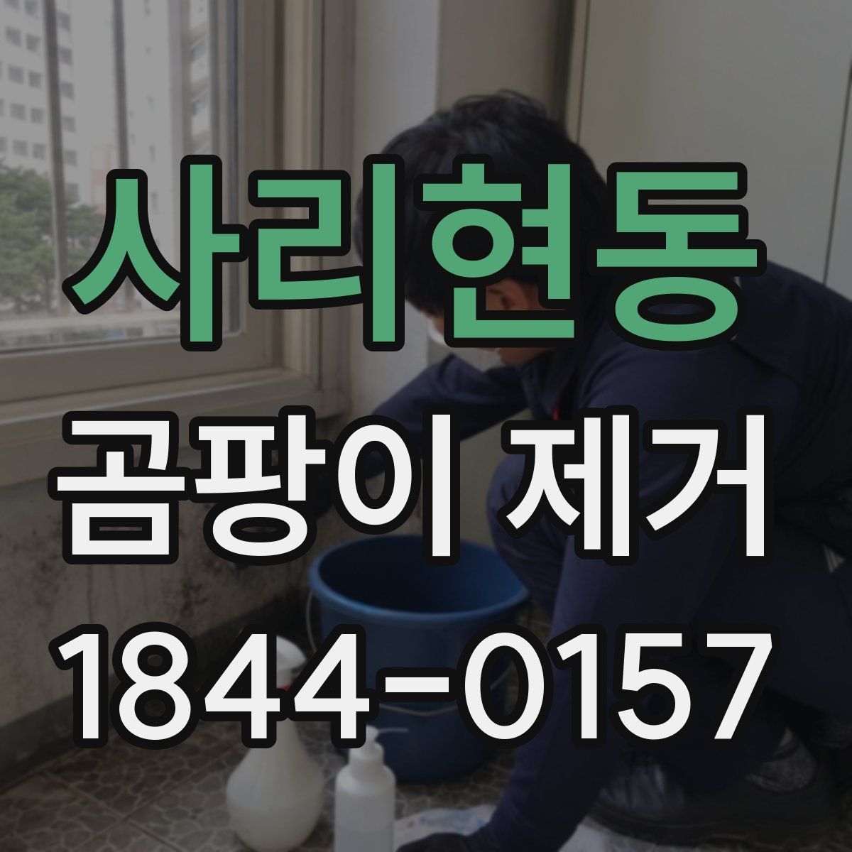 사리현동 곰팡이 제거