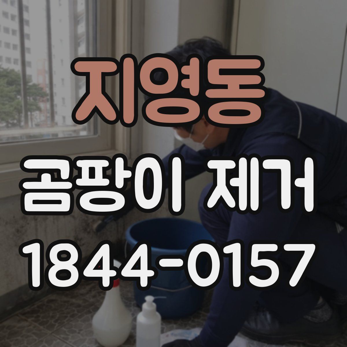 지영동 곰팡이 제거