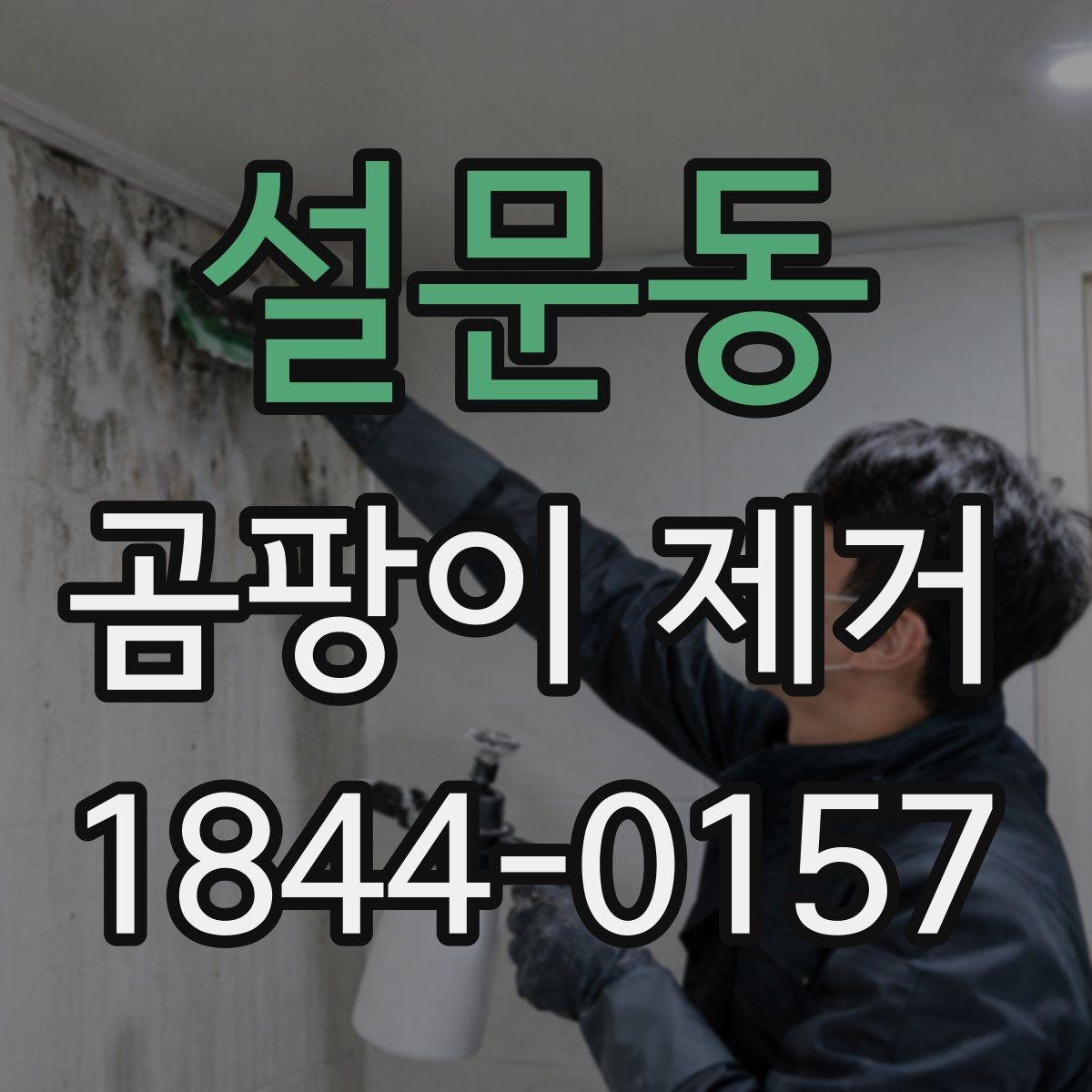 설문동 곰팡이 제거 벽지와 실리콘 상태에 따른 대처법