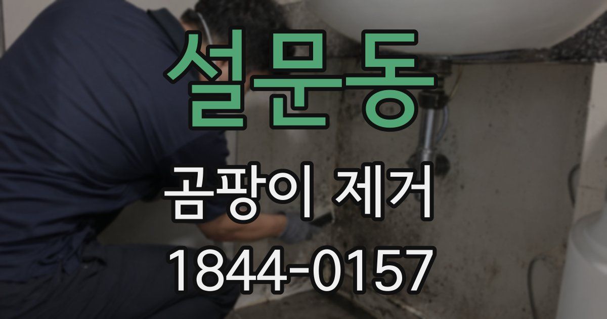 설문동 곰팡이 제거