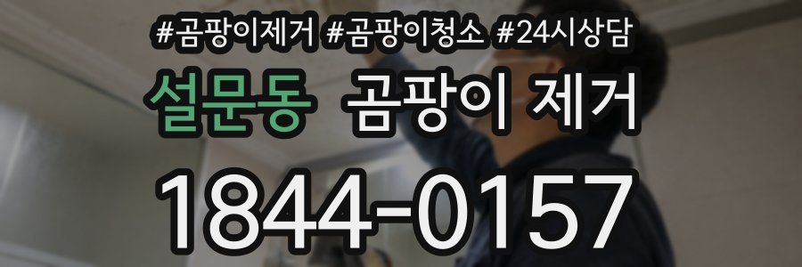 설문동 곰팡이 제거