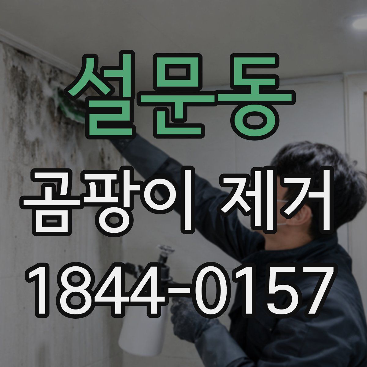 설문동 곰팡이 제거