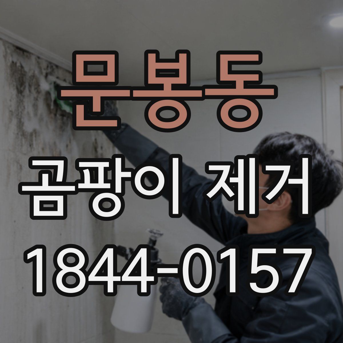 문봉동 곰팡이 제거