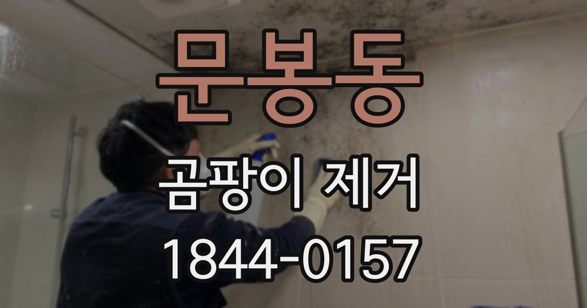 문봉동 곰팡이 제거