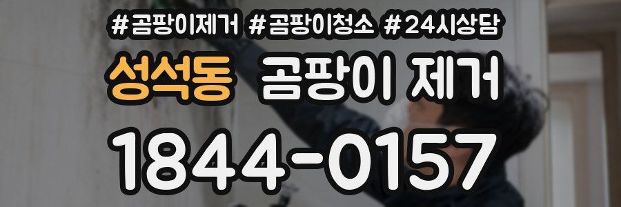 성석동 곰팡이 제거