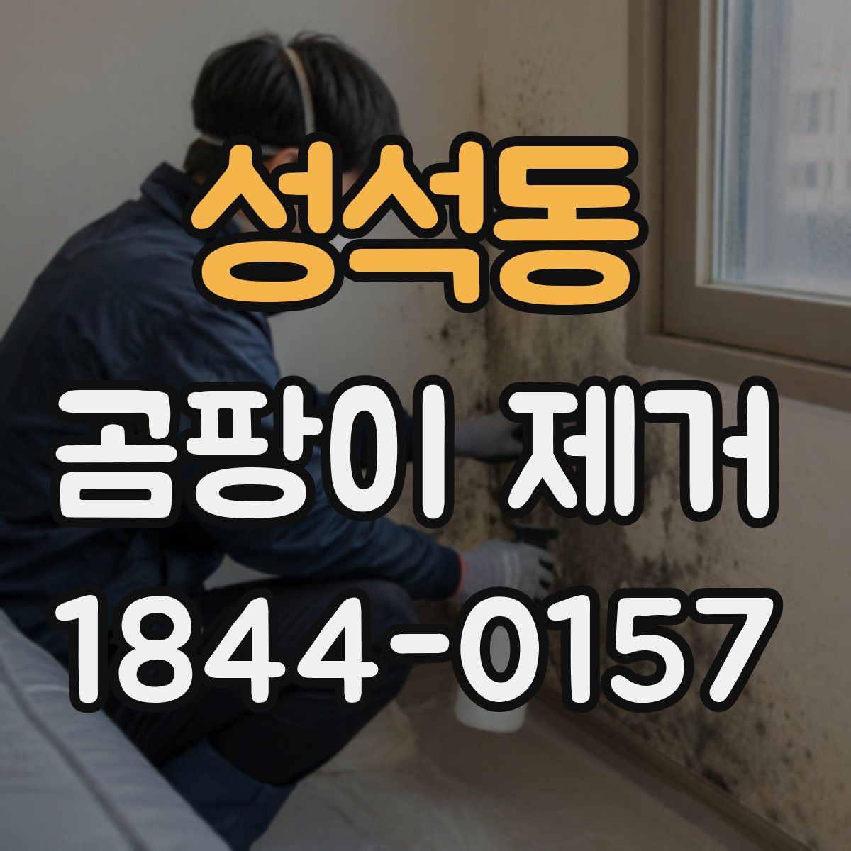 성석동 곰팡이 제거