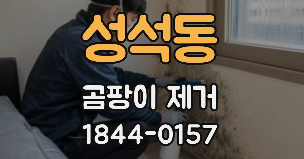 성석동 곰팡이 제거