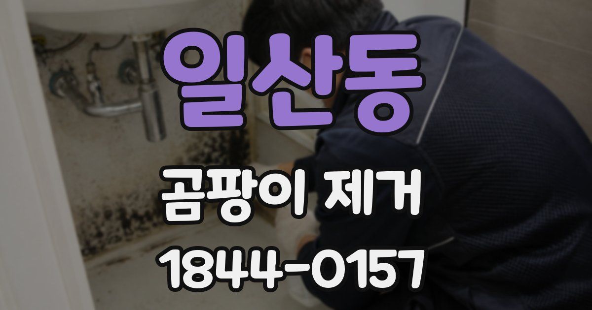 일산동 곰팡이 제거