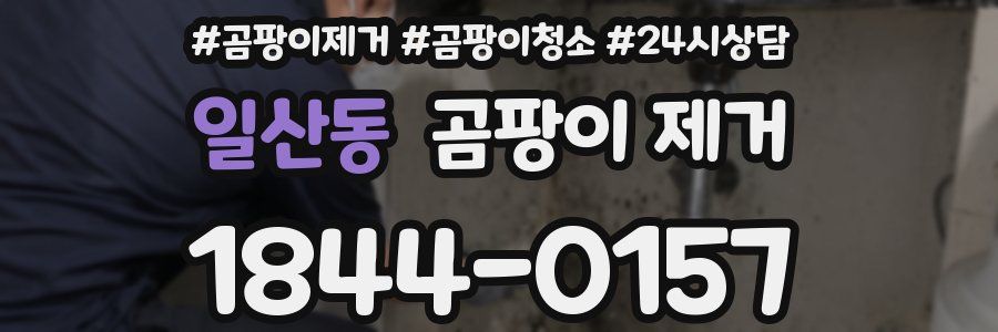 일산동 곰팡이 제거
