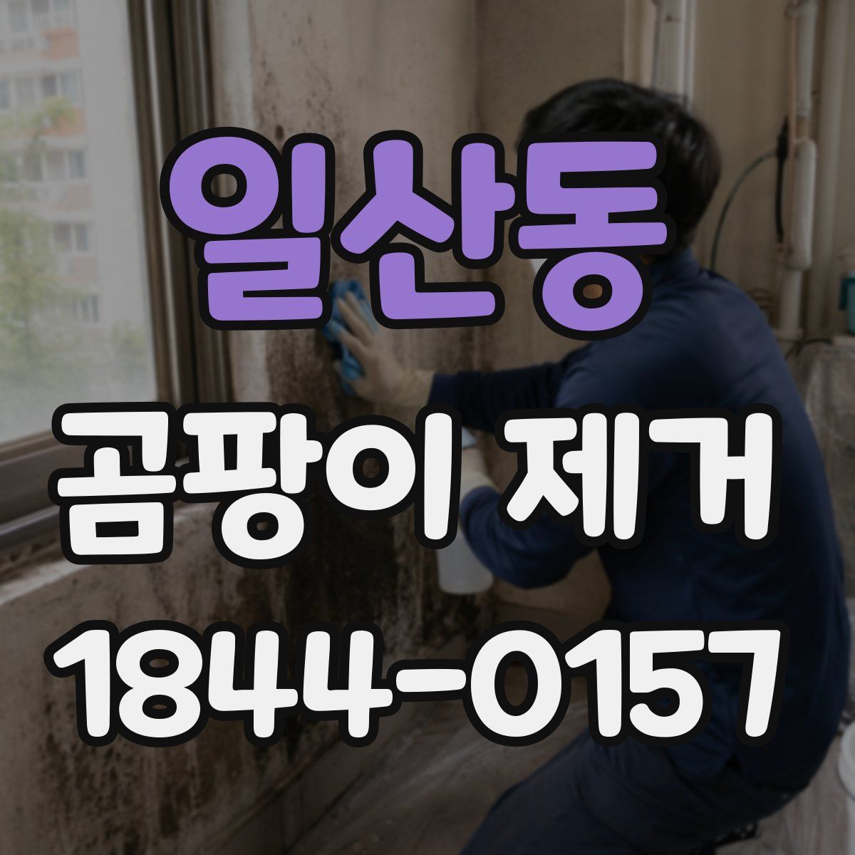 일산동 곰팡이 제거
