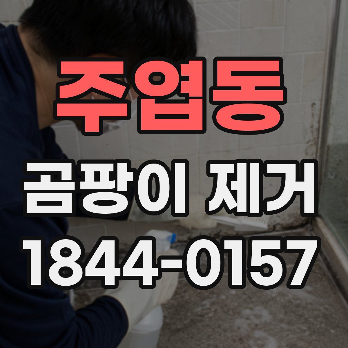 주엽동 곰팡이 제거