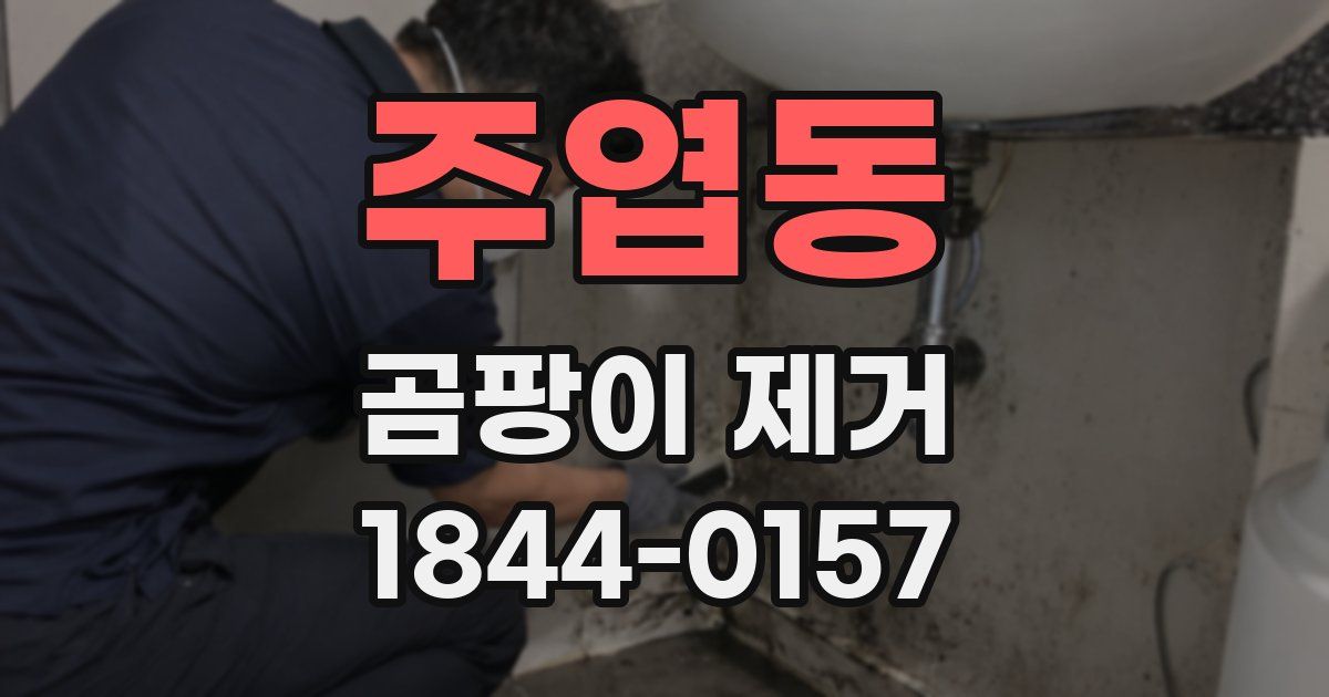 주엽동 곰팡이 제거