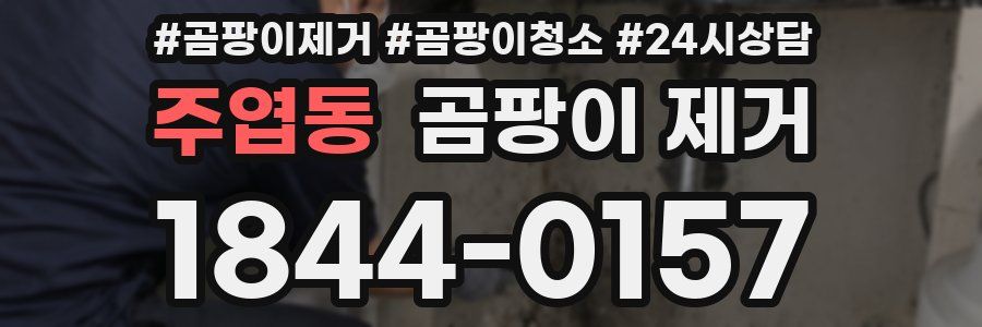 주엽동 곰팡이 제거
