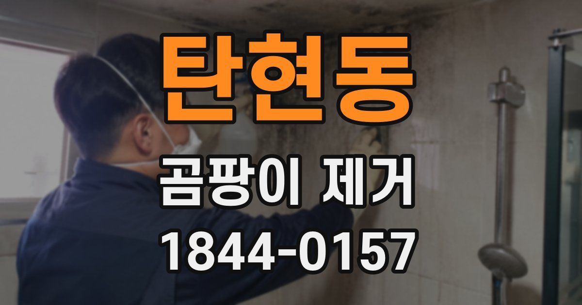 탄현동 곰팡이 제거