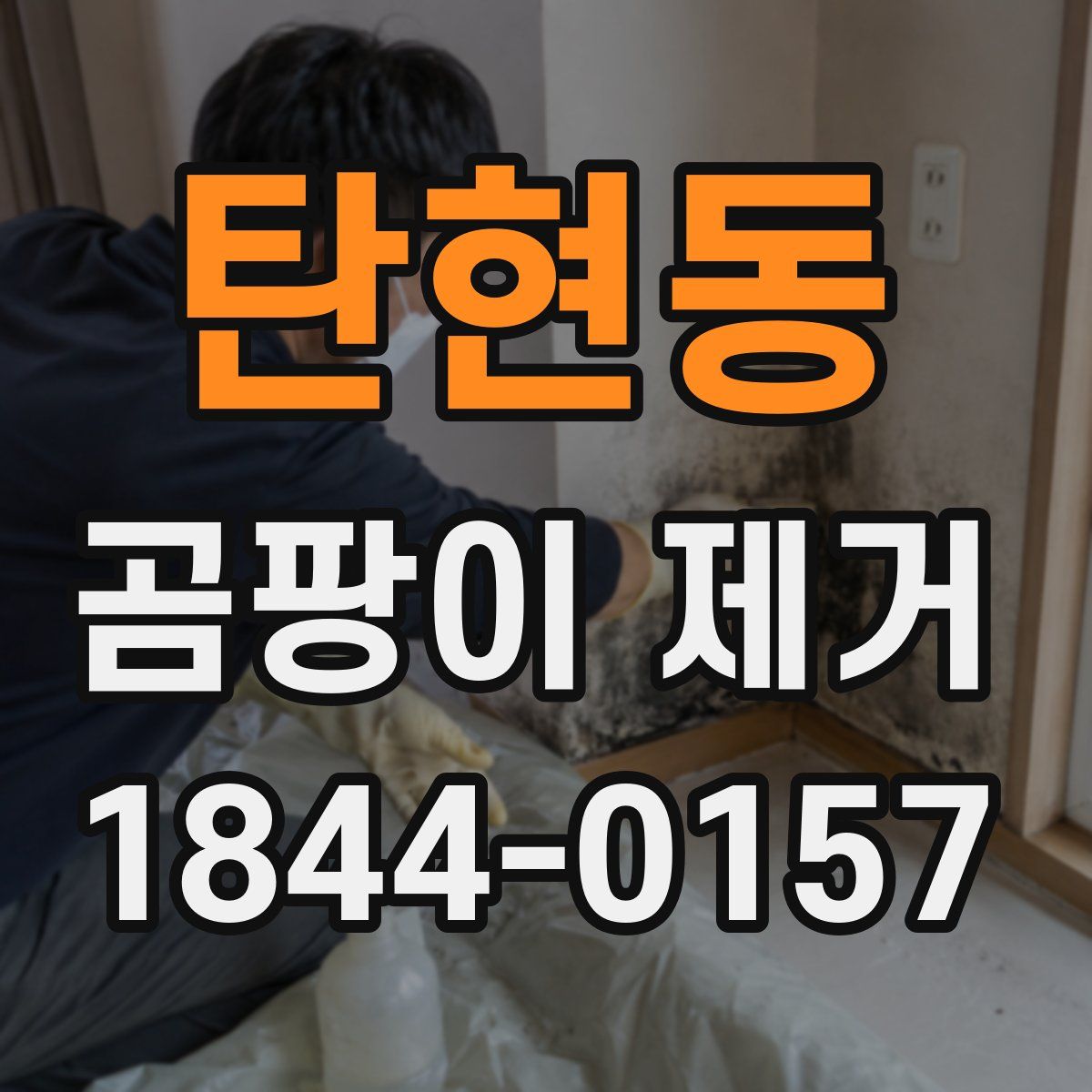 탄현동 곰팡이 제거