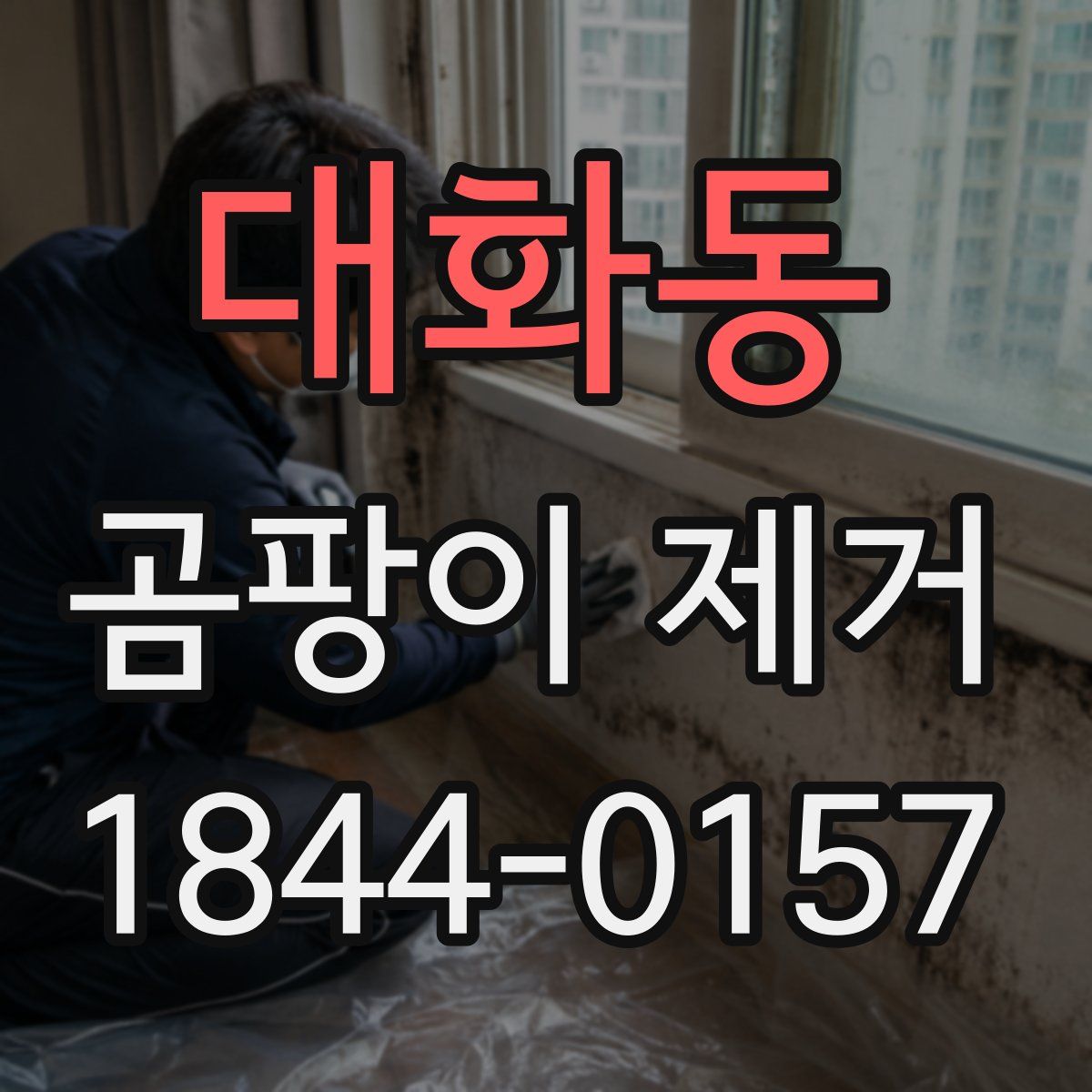 대화동 곰팡이 제거