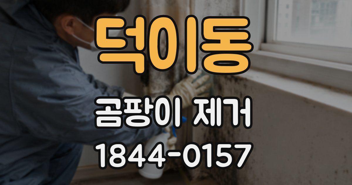 덕이동 곰팡이 제거