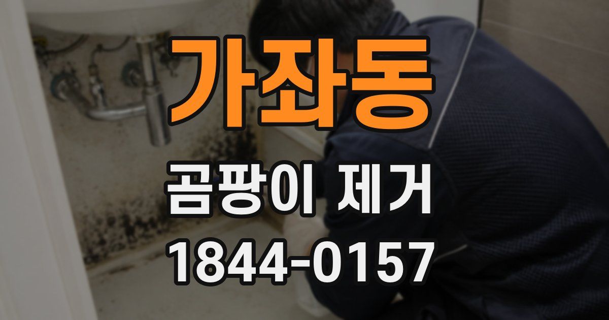 가좌동 곰팡이 제거
