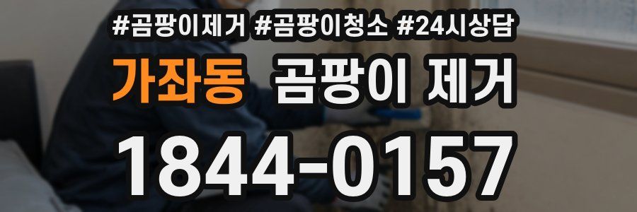 가좌동 곰팡이 제거