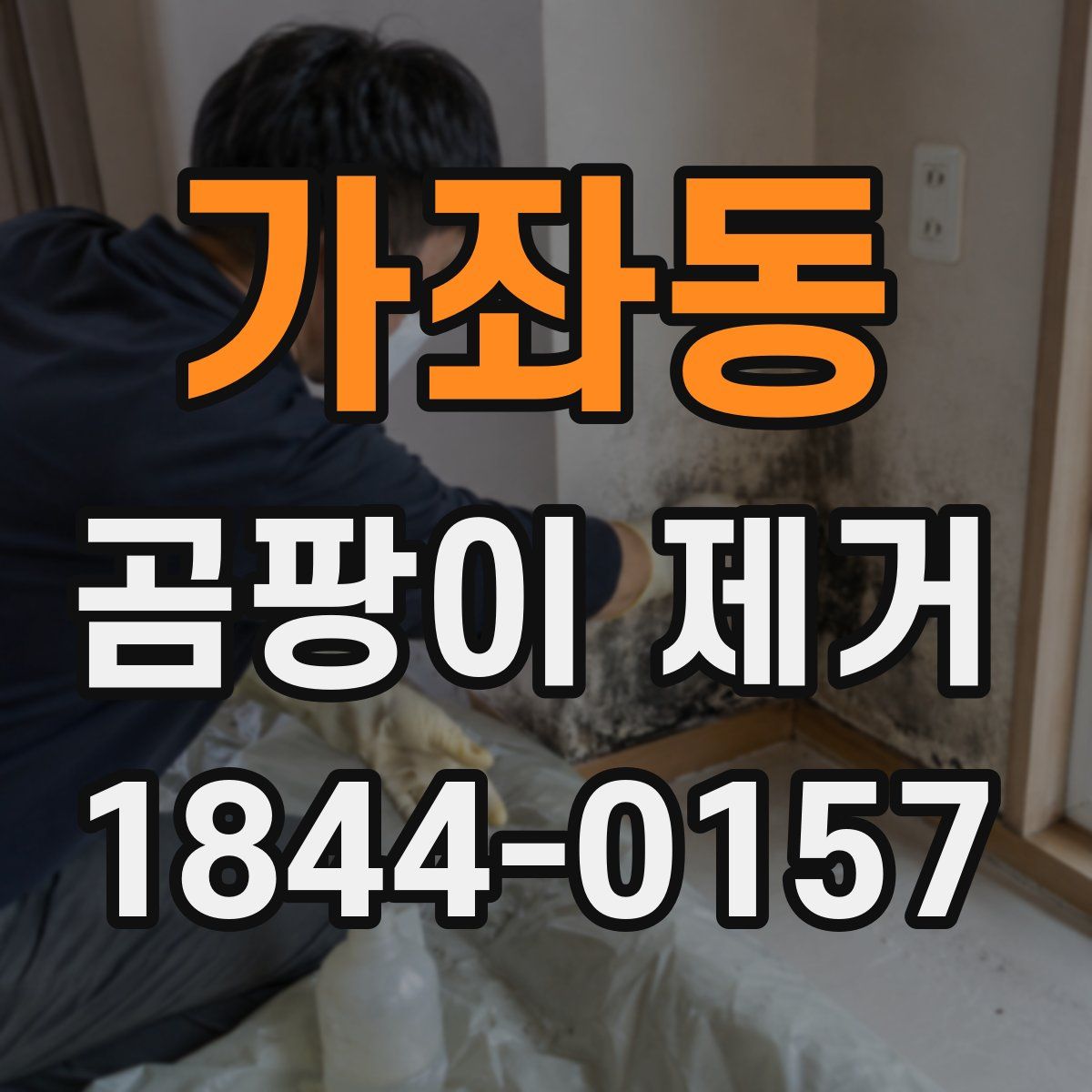 가좌동 곰팡이 제거