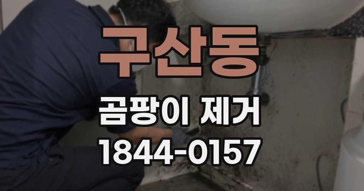 구산동 곰팡이 제거